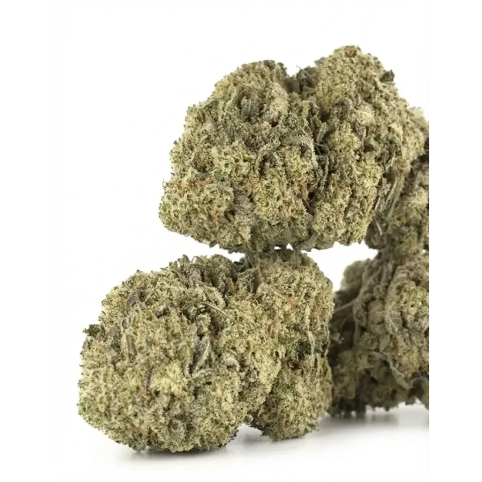Fiori CBD Amnesia – Indoor Cannabis – primo piano