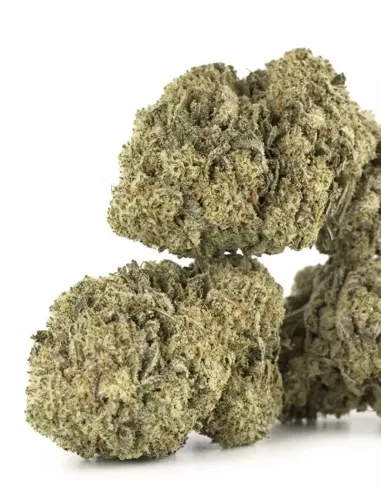 %product-name% gros plan