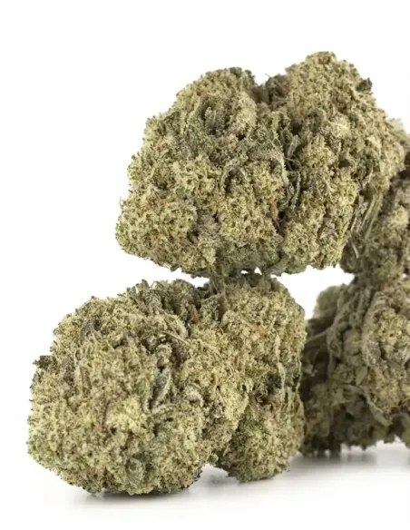 Fiori CBD Amnesia – Indoor Cannabis – primo piano