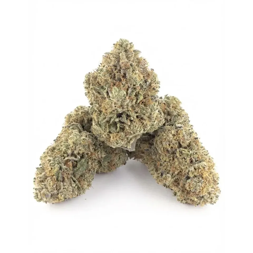 Fiori CBD OG Kush – Indoor Cannabis – lato