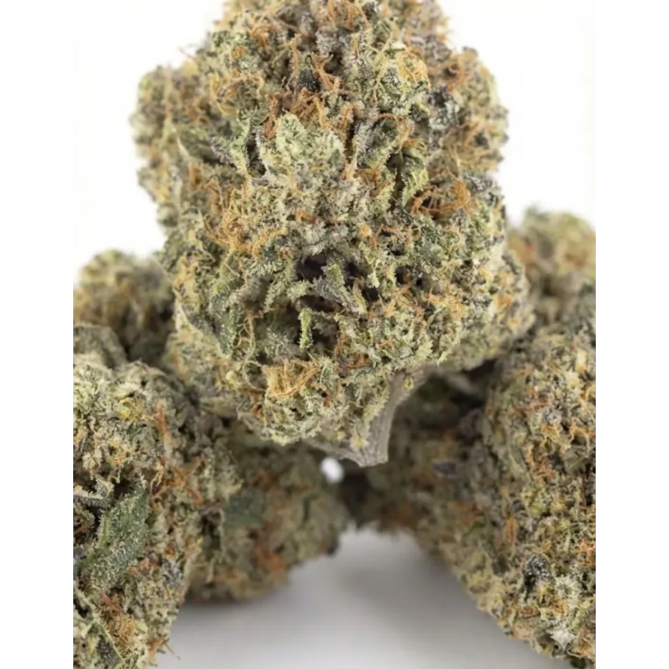 OG Kush CBD Blüten – Indoor Cannabis – Nahaufnahme