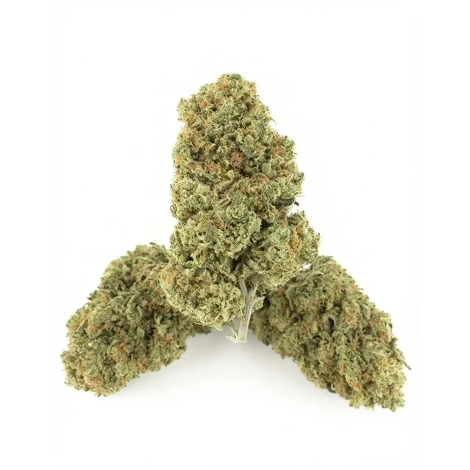 Ice Cream Cookie CBD Blüten – Indoor Cannabis – Seitenansicht