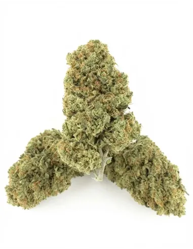 %product-name% côté