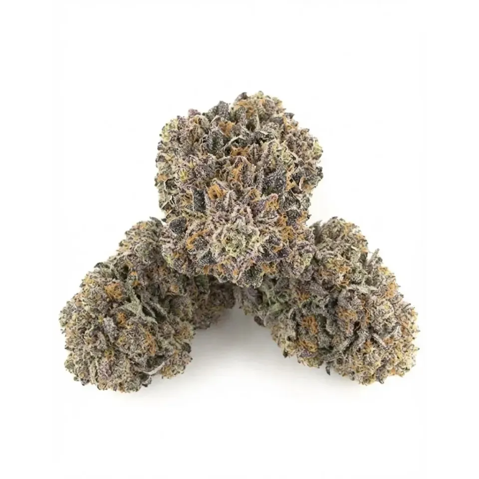 Fiori CBD Sour Tangie – Indoor Cannabis – lato