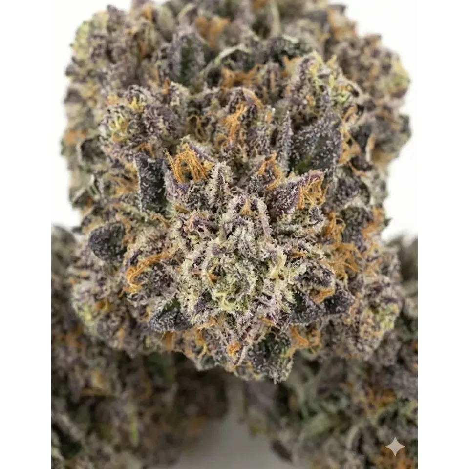 Sour Tangie CBD Blüten – Indoor Cannabis – Nahaufnahme