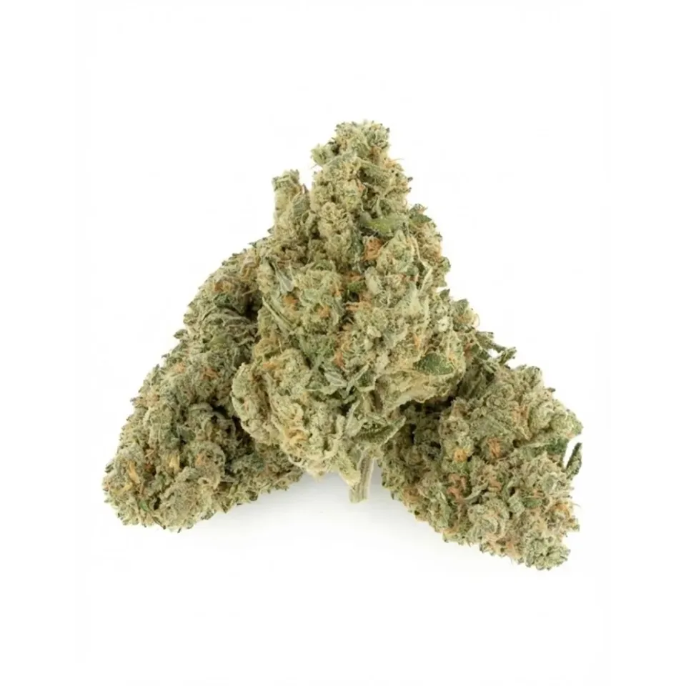 Swiss Cheese CBD Blüten – Indoor Cannabis – Seitenansicht