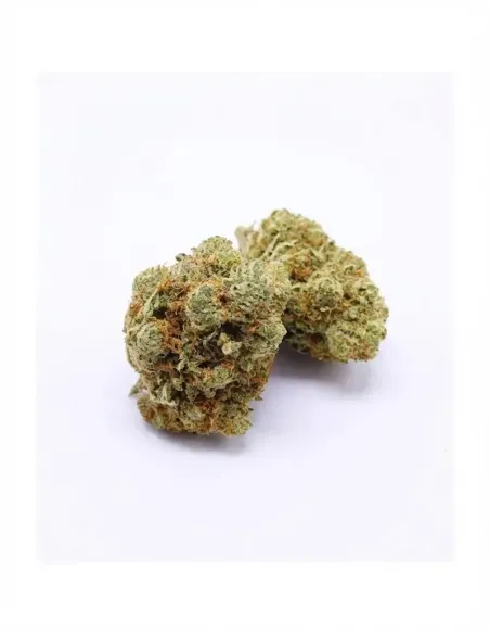 Fiori CBD Skittlez – Indoor Cannabis – lato