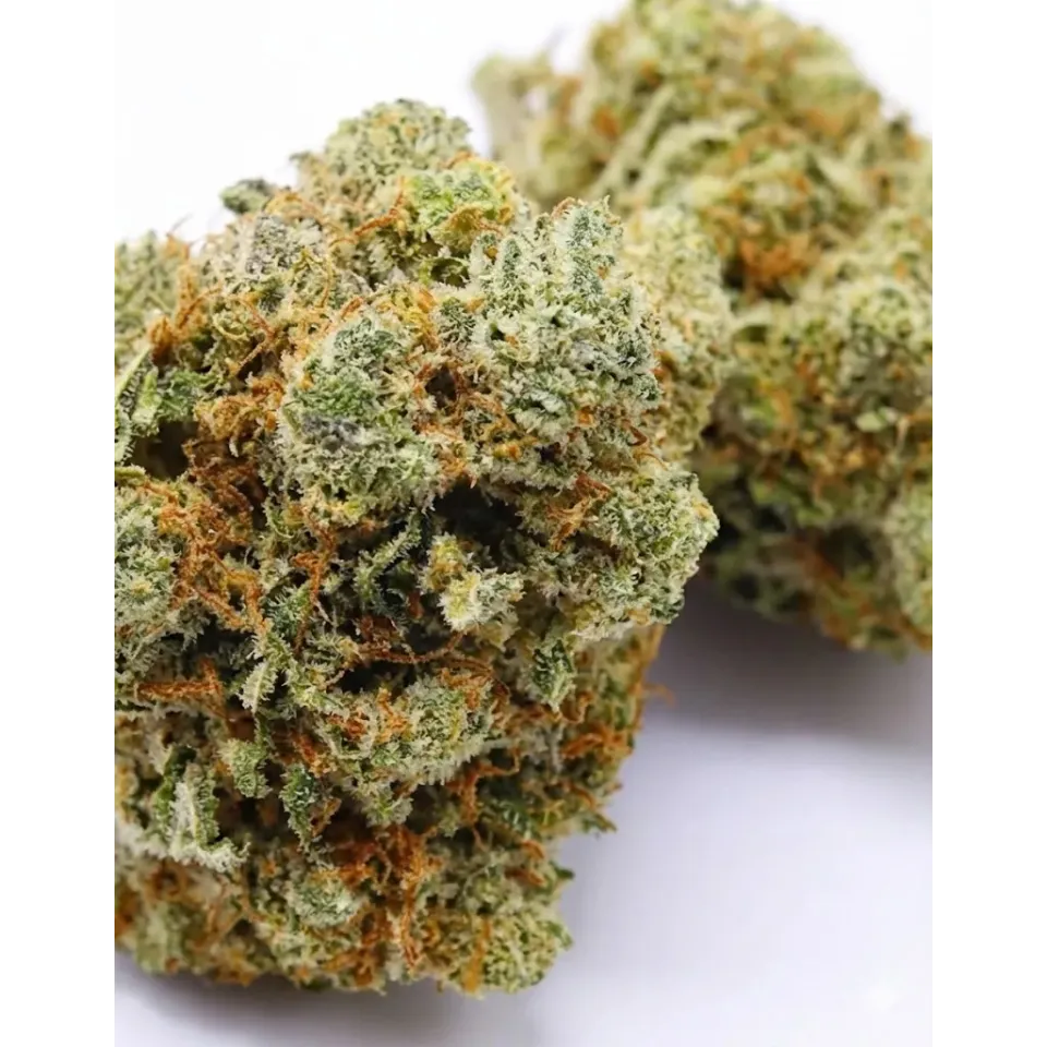 Fiori CBD Skittlez – Indoor Cannabis – primo piano