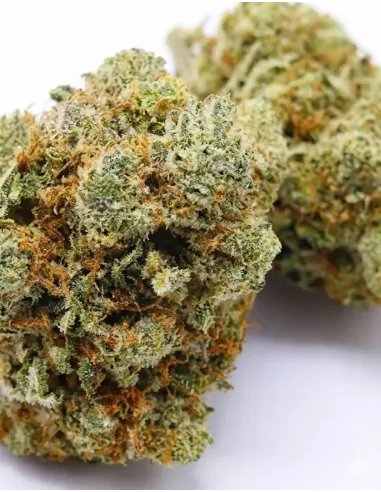 %product-name% closeup