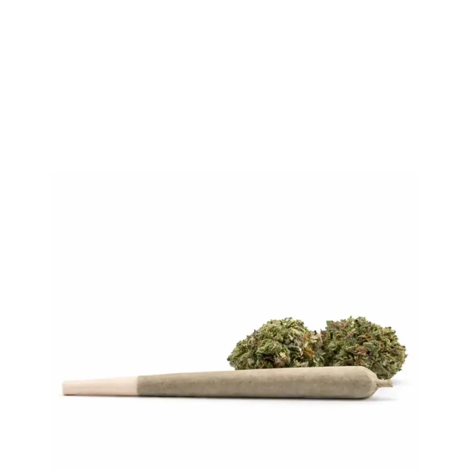 Pre-Roll 10-OH-HHC – vista principale 1