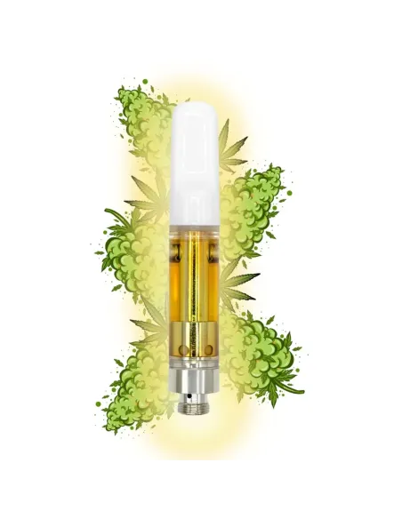 %product-name% amnesia