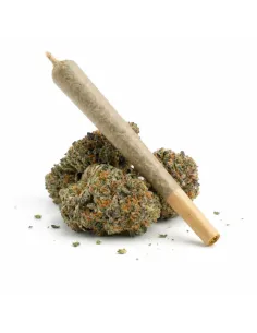 %product-name% de main