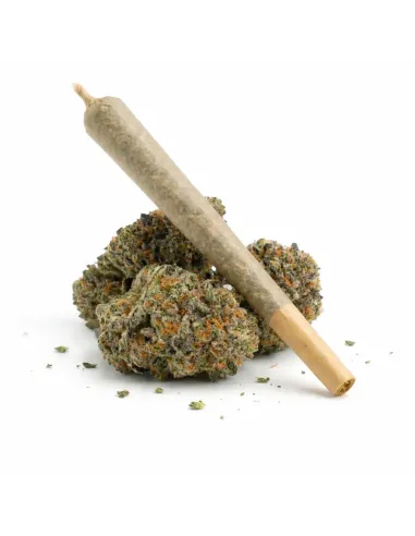 %product-name% main en