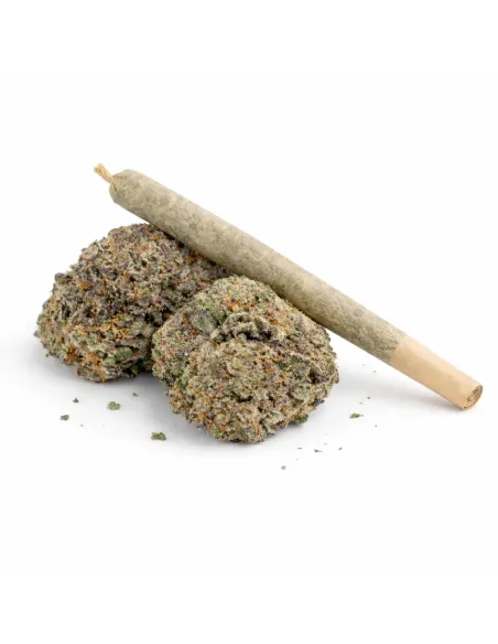 %product-name% main fr