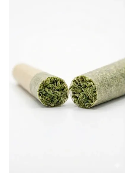 Pre-Roll 10-OH-HHC Fiore Blueberry – tagliato