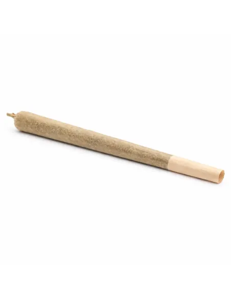 Pre-Roll 10-OH-HHC Fiore Blueberry – vista completa