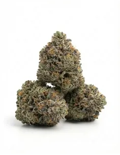 %product-name% main de