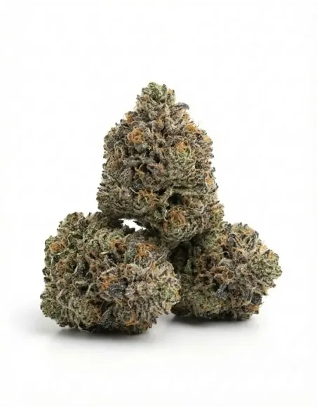 %product-name% main en