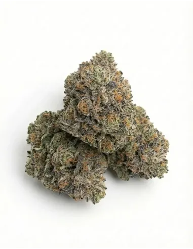 %product-name% top en