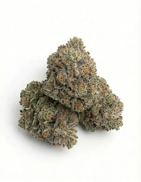 %product-name% top fr