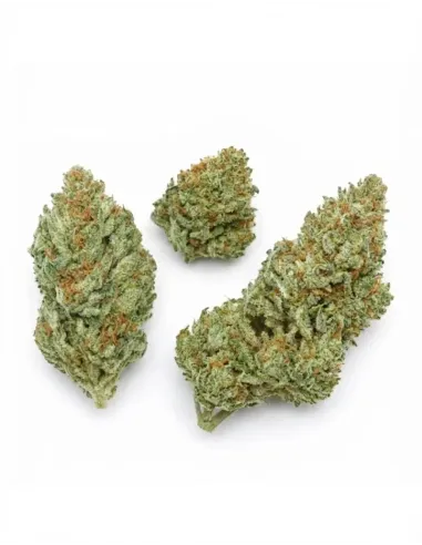 %product-name% top de