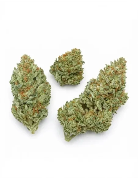 10-OH-HHC Fiore Blueberry – dall’alto