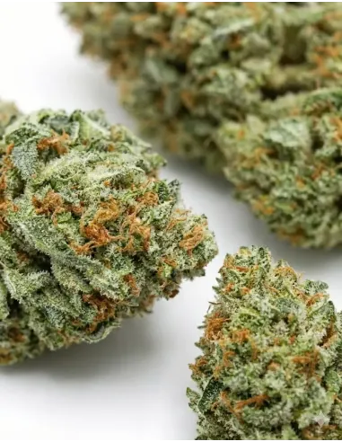 %product-name% closeup fr