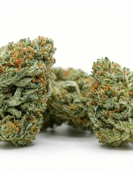10-OH-HHC Fiore Blueberry – lato