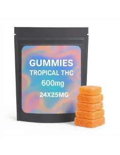 %product-name% principal