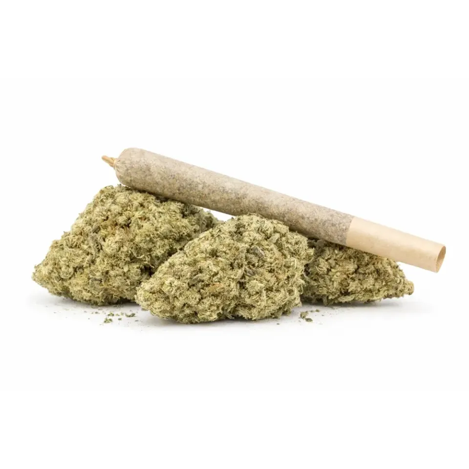 Pre-Roll Amnesia CBD – vista principale