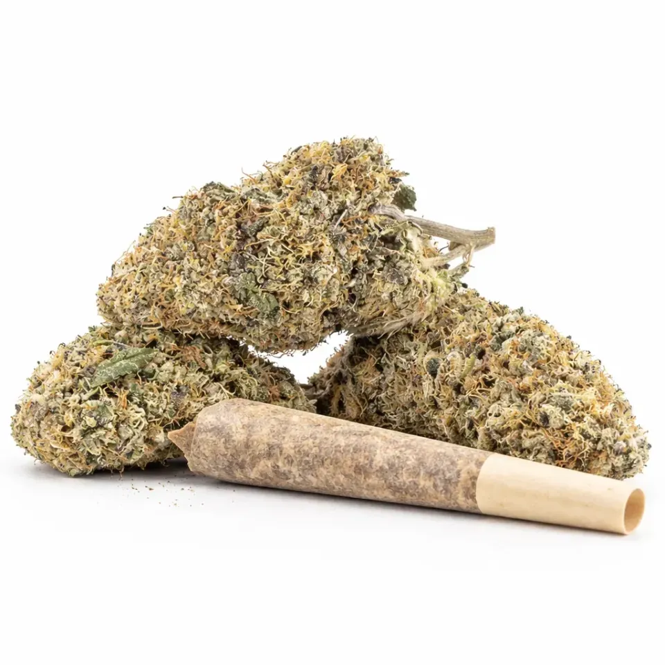 Pre-Roll OG Kush CBD – vista principale