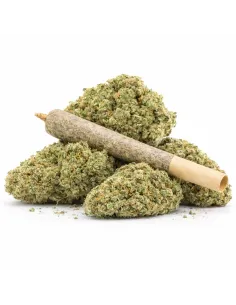 %product-name% principal