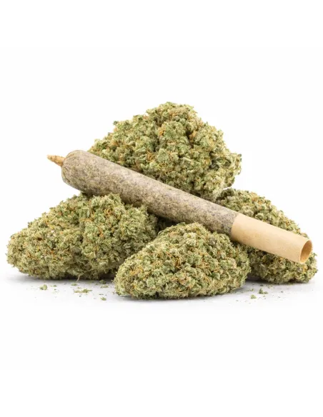 %product-name% principal