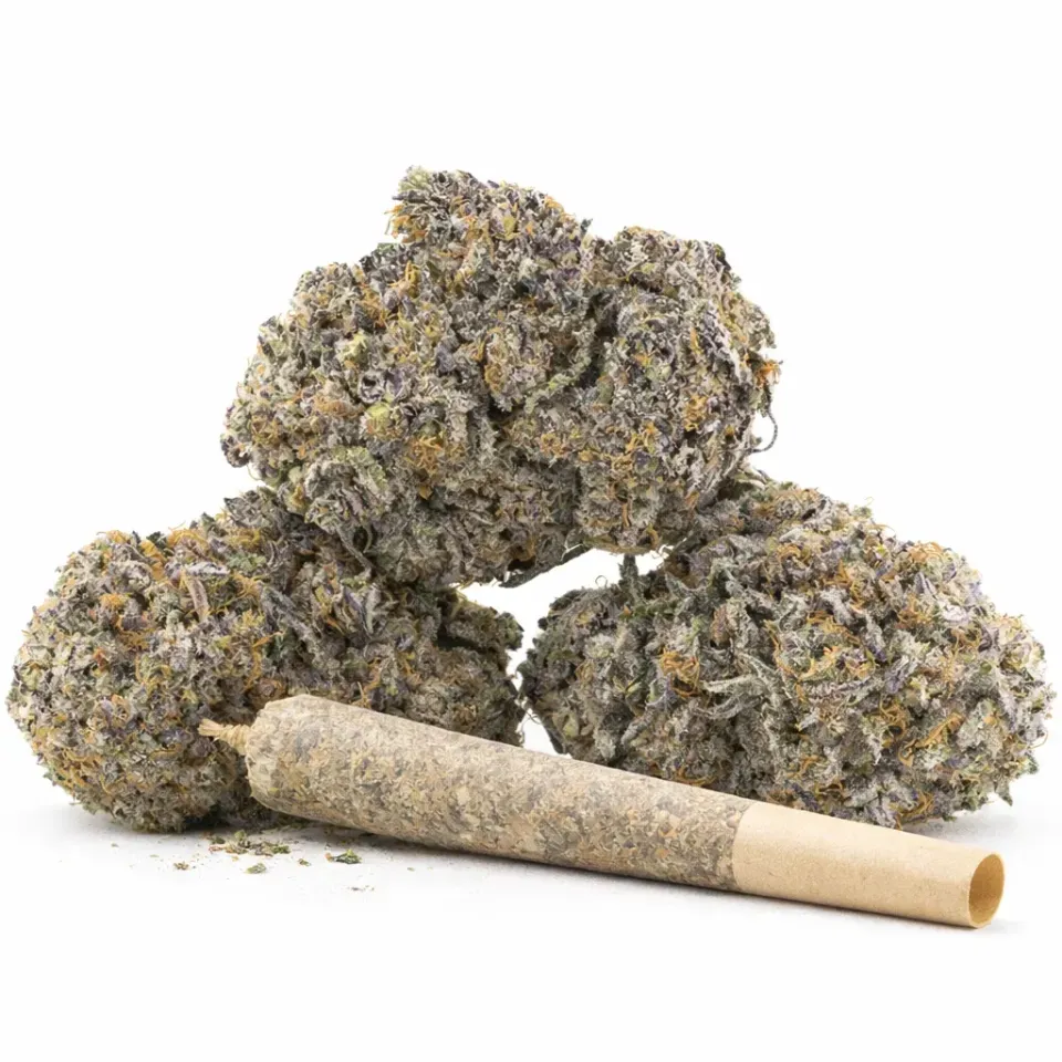 Pre-Roll Sour Tangie CBD – vista principale
