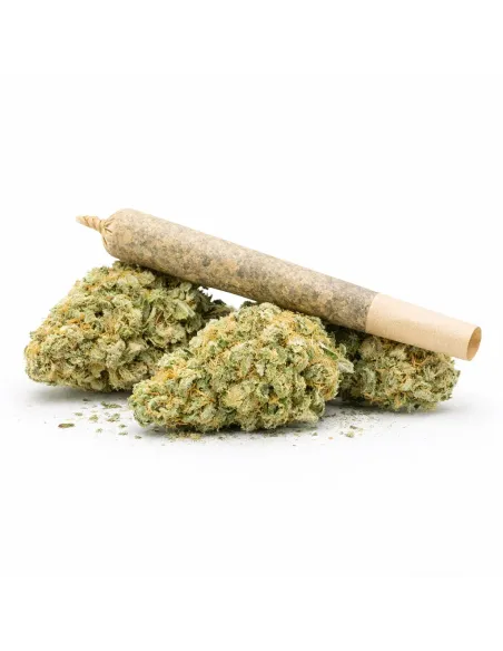 %product-name% principal