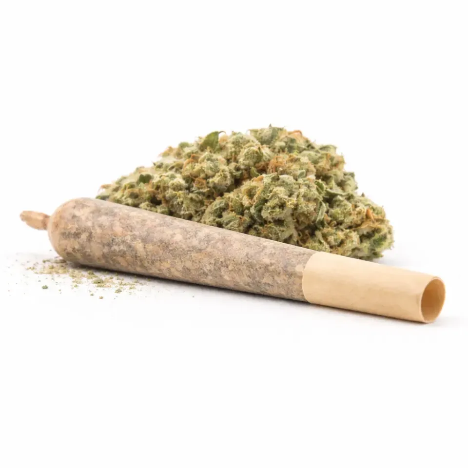Pre-Roll Swiss Cheese CBD – principale 1