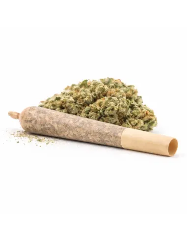 %product-name% principal 1