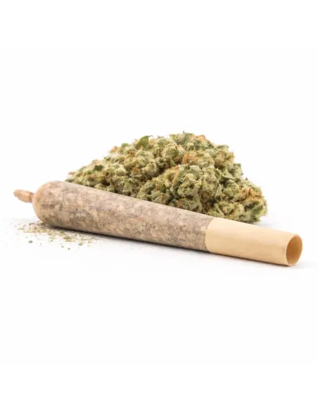 %product-name% principal 1