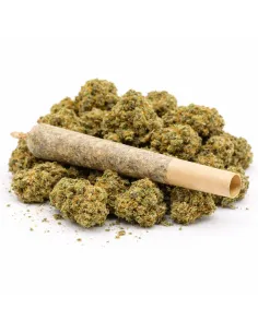 %product-name% principal