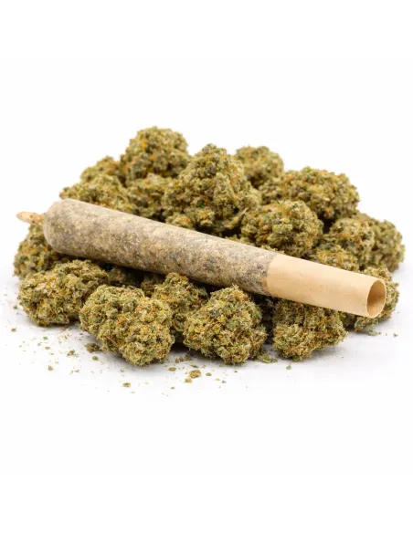 %product-name% principal