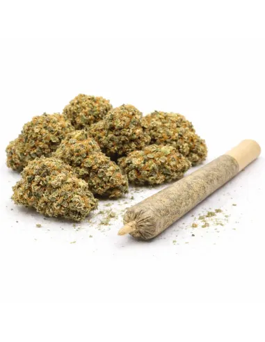 %product-name% Hauptansicht 2