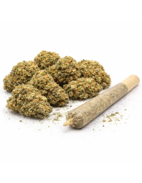 %product-name% principal 2