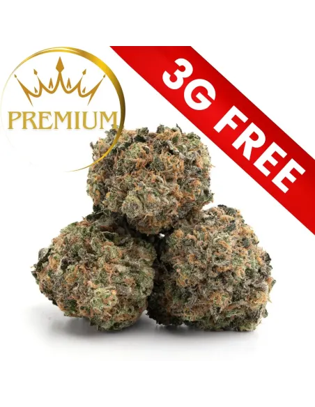 Regalo: Mistero Premium 3G – vista principale
