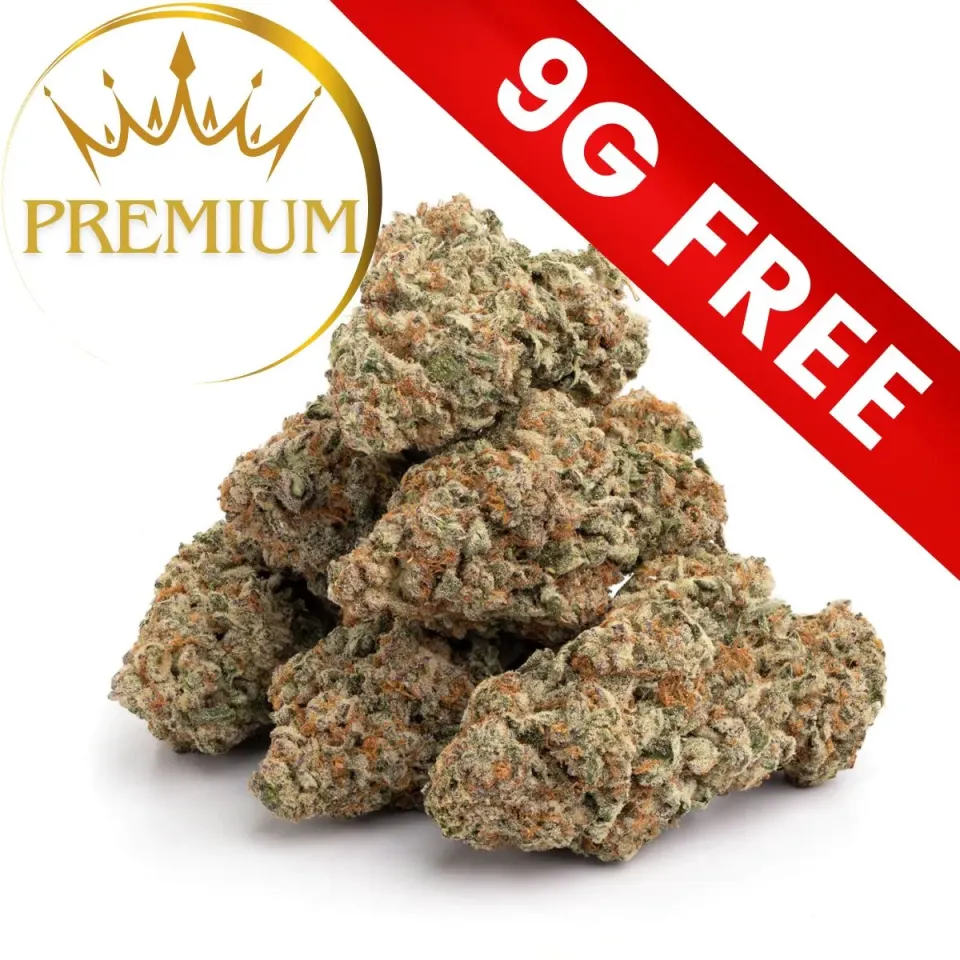 Gift : Mystery Premium 9G 10-OH-HHC | GBZ420