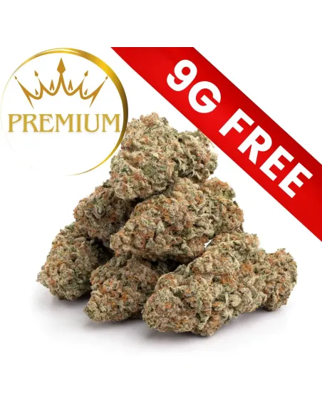 Cadeau: Mystère Premium 9G 10-OH-HHC | GBZ420