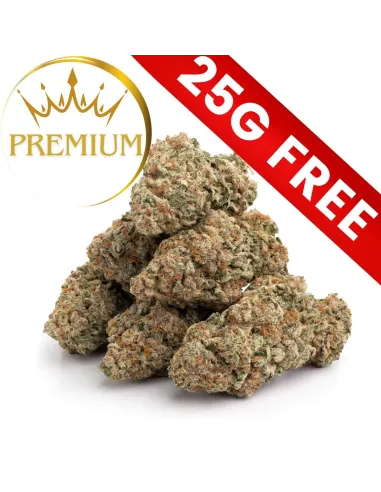 Gift : Mystery Premium 25G 10-OH-HHC | GBZ420
