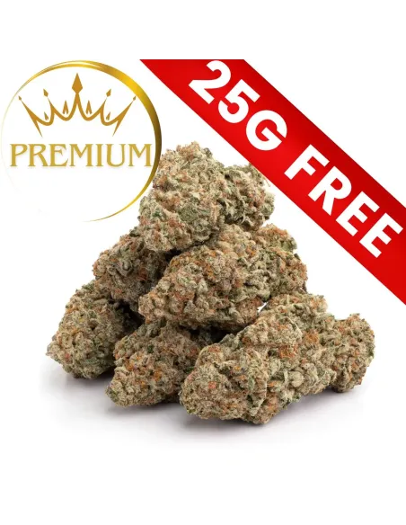 Gift : Mystery Premium 25G 10-OH-HHC | GBZ420