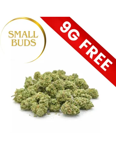 Gift : Mystery Small Buds 9G 10-OH-HHC | GBZ420