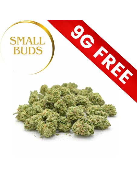 Regalo: Mistero Small Buds 9G 10-OH-HHC – vista principale