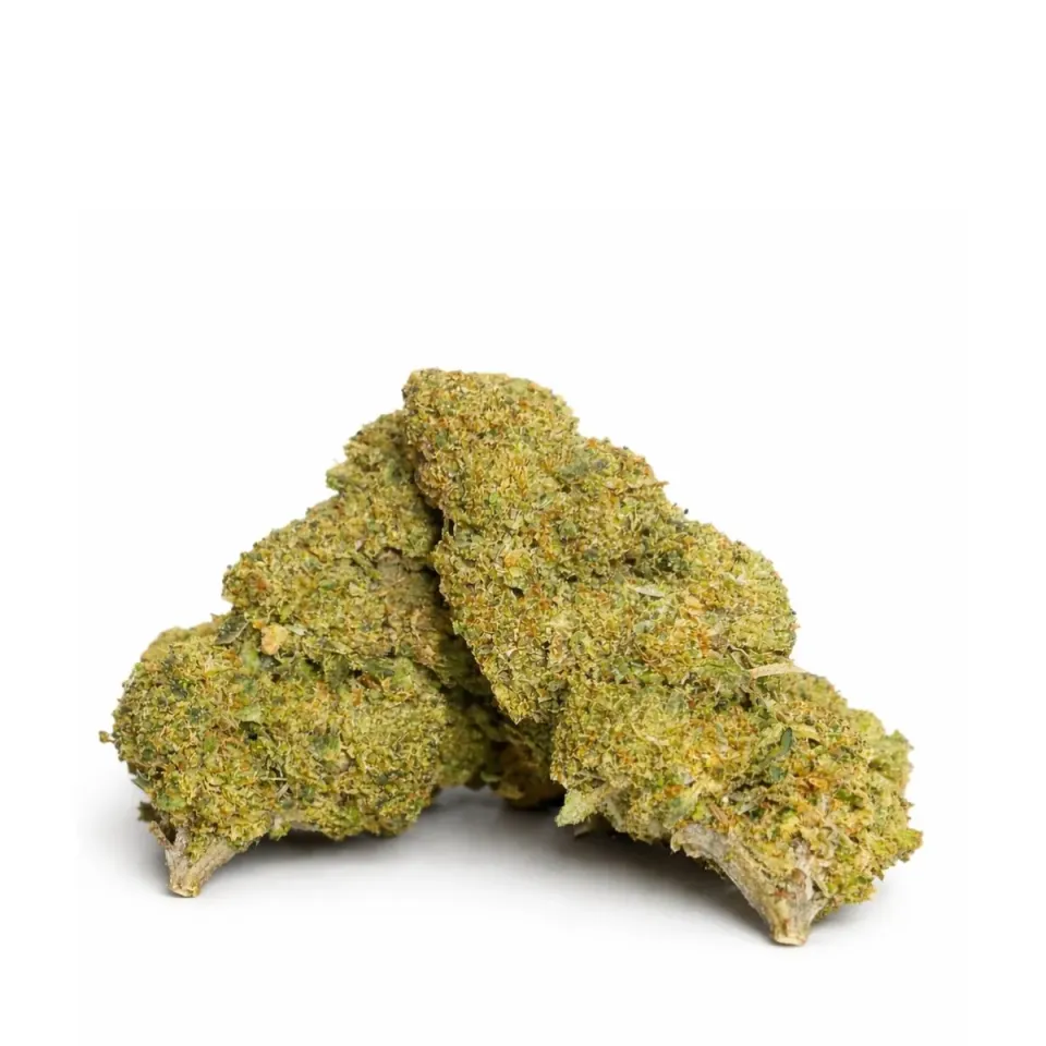 Fleur Apple Fritter 10-OH-HHC – vue principale